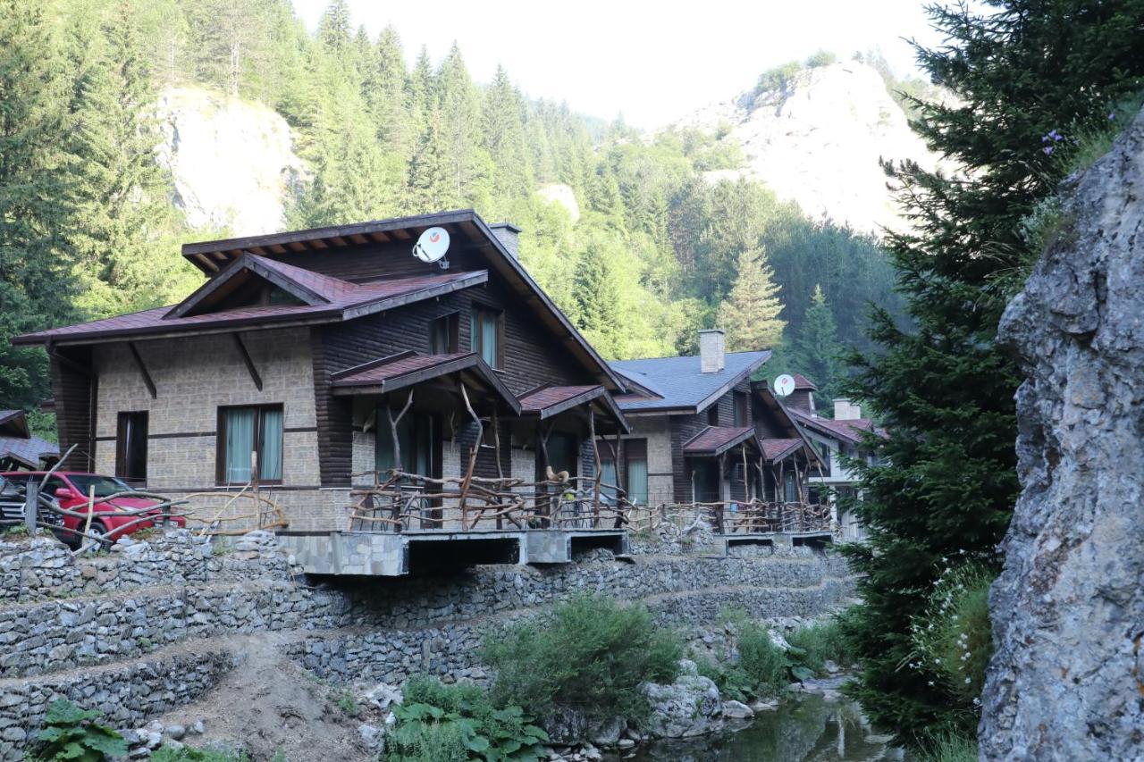 Holiday park Horlog Castle