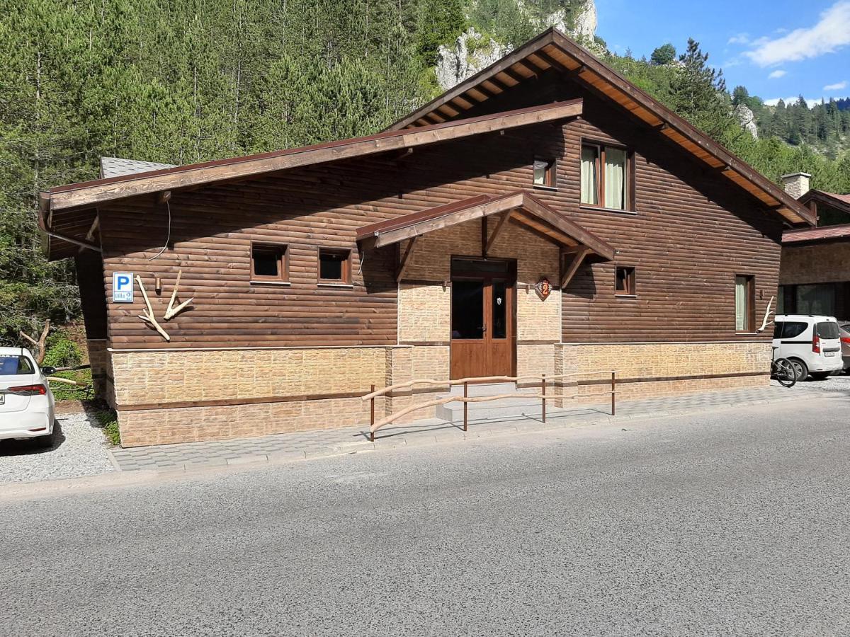 Holiday park Horlog Castle