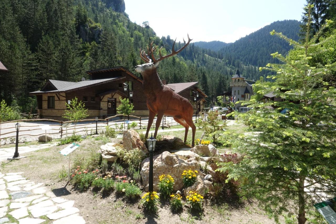 Horlog Castle Holiday park Trigrad