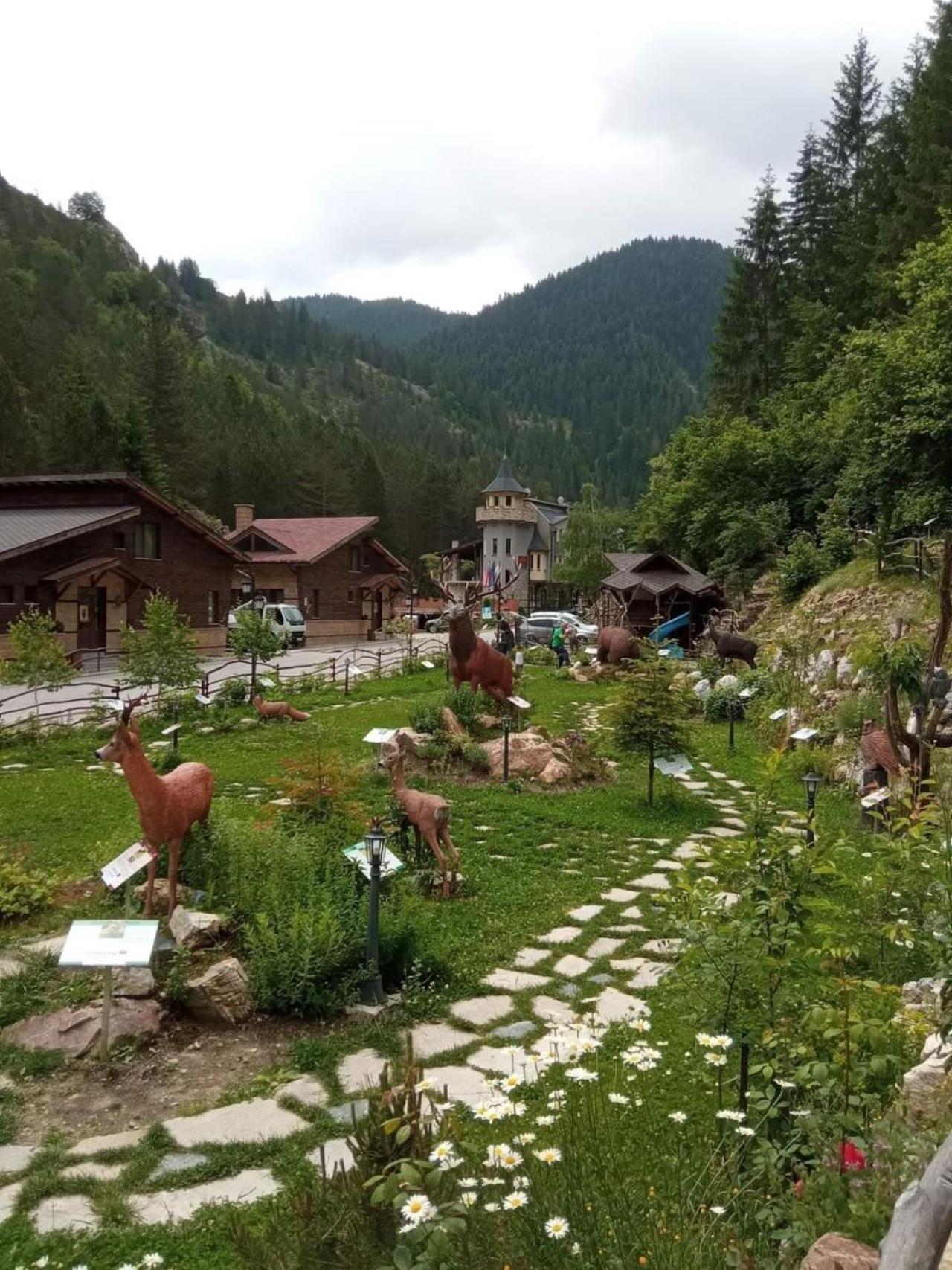 Holiday park Horlog Castle 3*