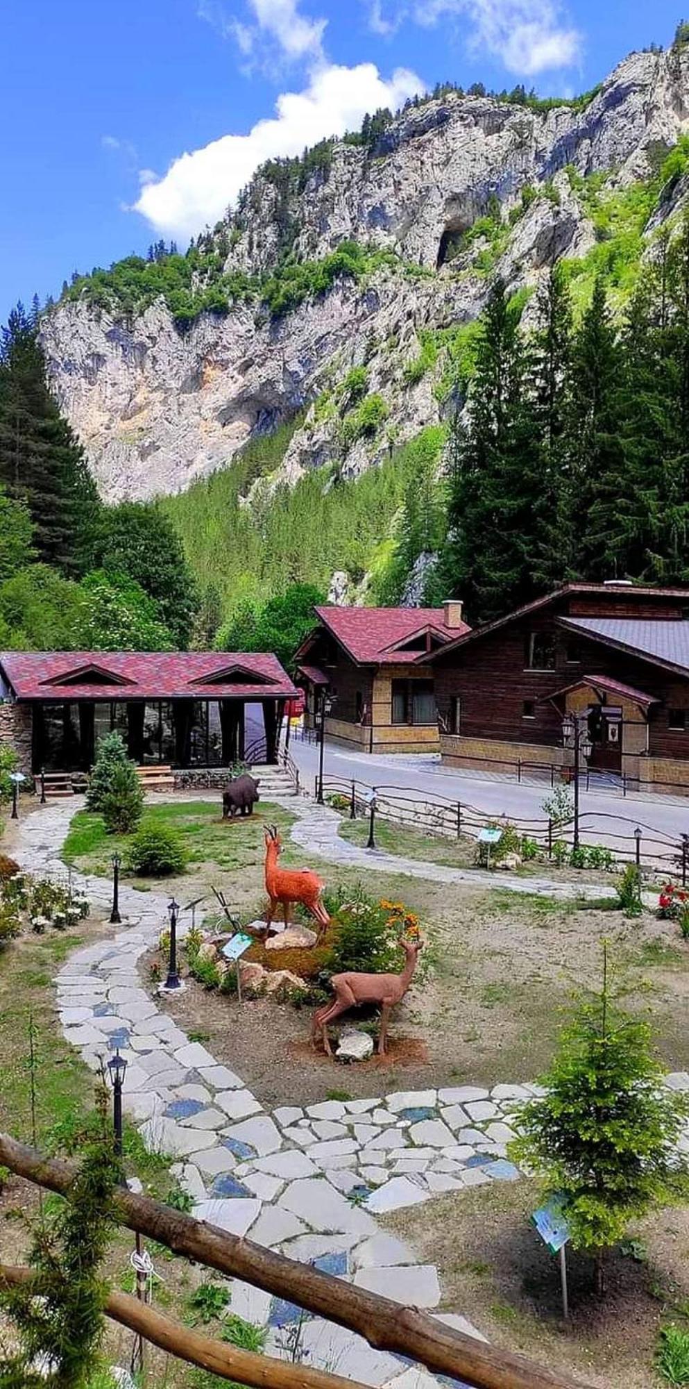 Horlog Castle Holiday park